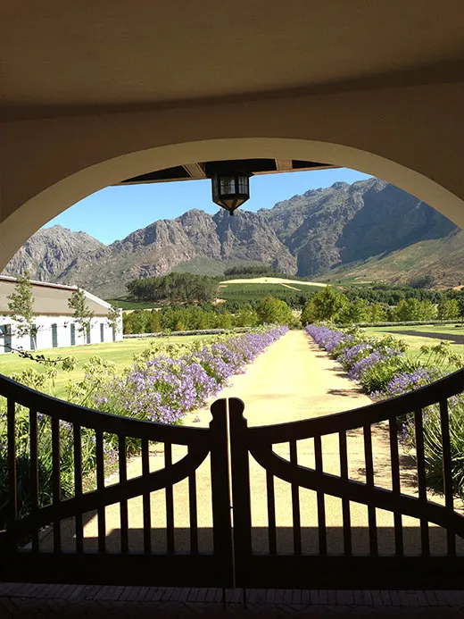 Drakenstein Stud Farm